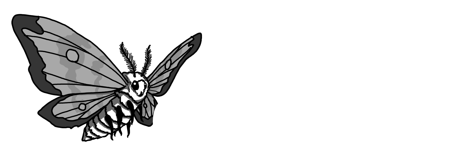 CNStudio banner